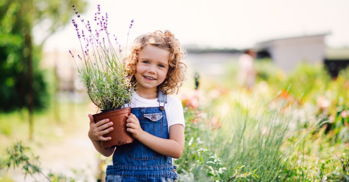 A young girl standing in a green garden while holding a potted lavender plant with both hands near tall plants.
