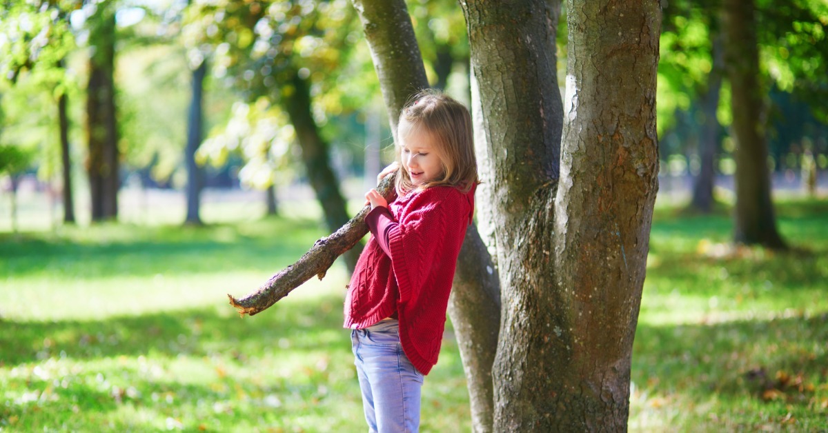 A young girl in a red sweater standing beside a large tree while holding a branch in a sunny park with grass.