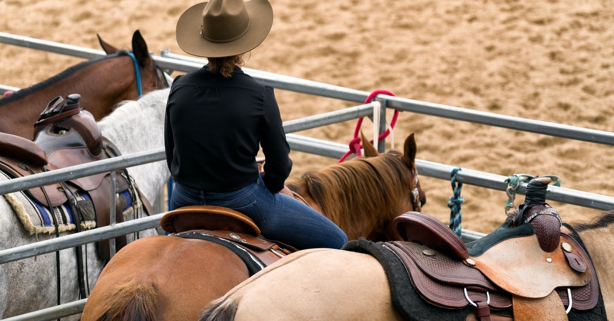 A cowgirl dressed in jeans, a black shirt, and a tan hat sitting on her horse at the edge of a rodeo ring.