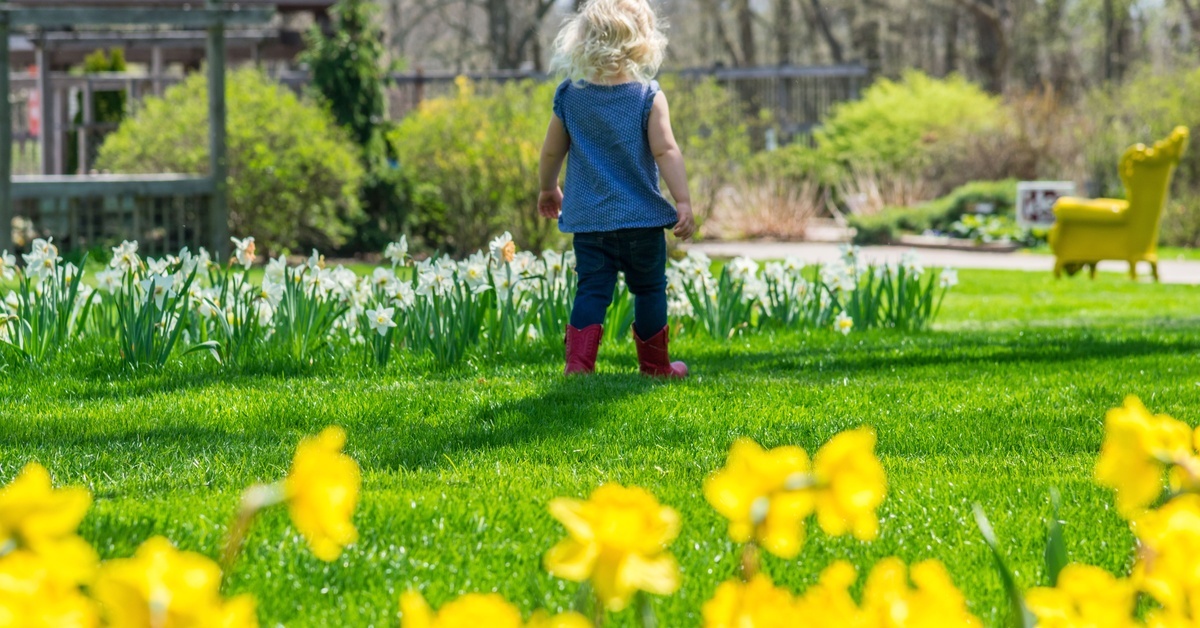 A child with a blue shirt and maroon boots walks through a yard filled with yellow lilies and a small gazebo.