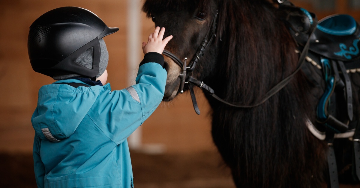 The Best Jeans for Toddlers Learning To Ride A boy in a green jacket and a black riding helmet pets the snout of a small black horse in an enclosed area.