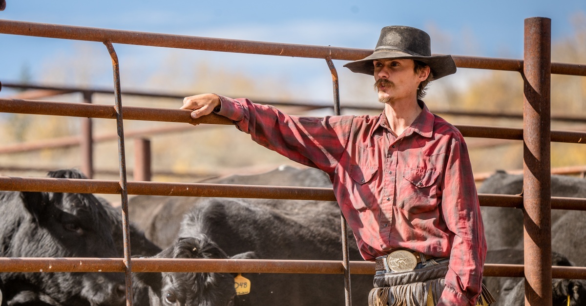 A cowboy in a hat, red shirt, chaps, and boots standing beside a corral with black cattle behind him outdoors.