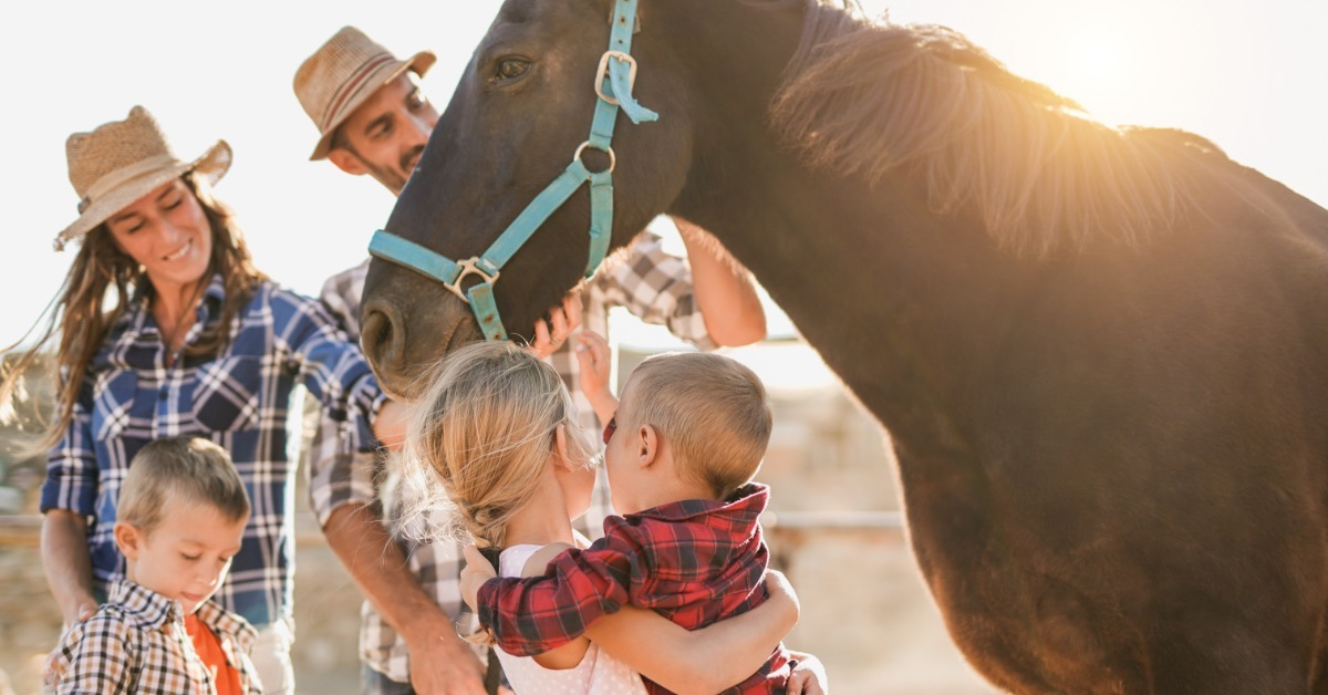 Adults and children standing near a dark horse with a blue halter in a sunny outdoor ranch area beside a fence.