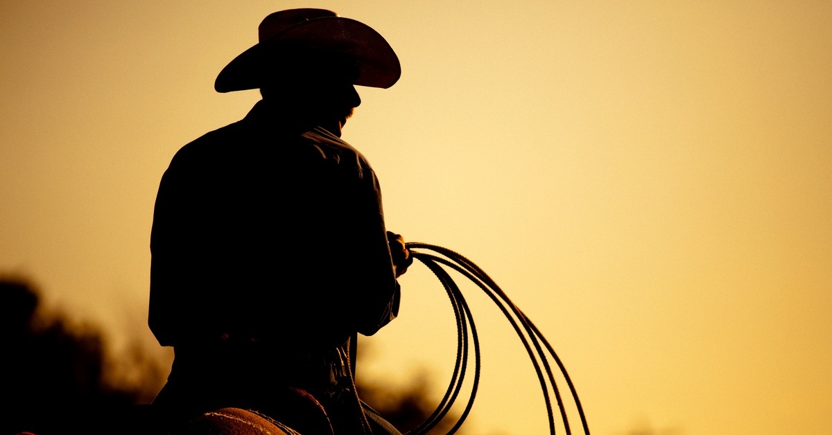 A silhouetted person wearing a cowboy hat and holding a coiled rope while seated against a golden sky.