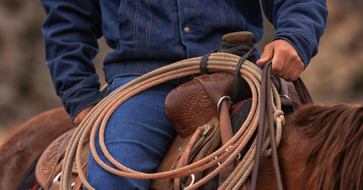 A person wearing denim sitting on a brown horse saddle while holding reins beside coiled rope and leather tack.