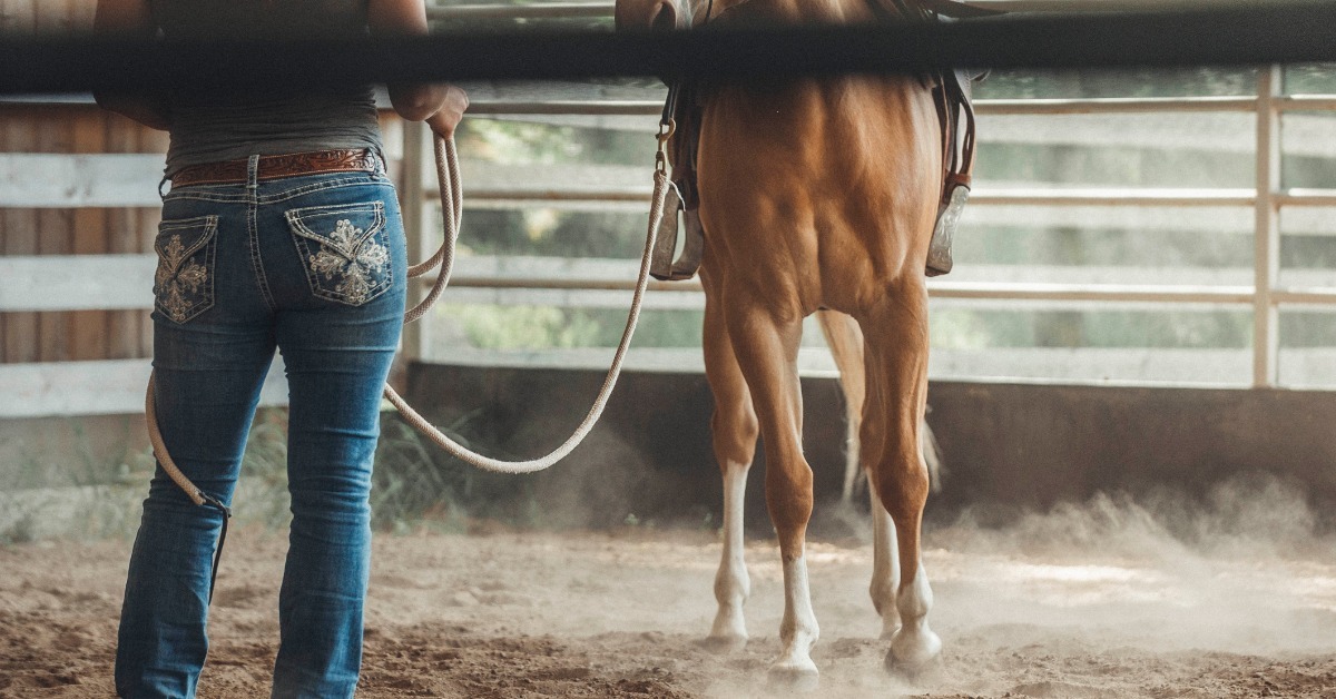 A person holding a rope beside a saddled brown horse standing on dusty ground inside a fenced riding area.